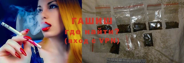 мдпв Новозыбков