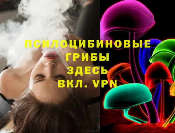молекула духа Новодвинск