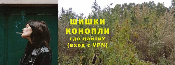сатива Аша