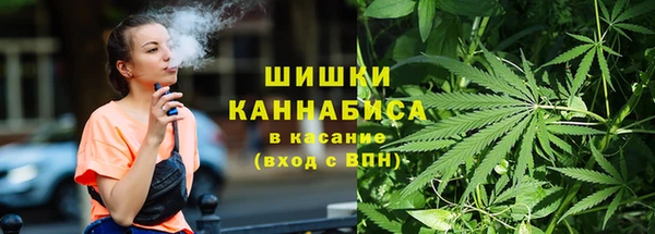 молекула духа Новодвинск