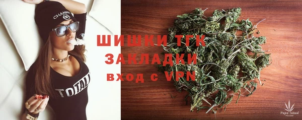 мдпв Новозыбков