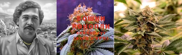 прущие крисы Новокубанск