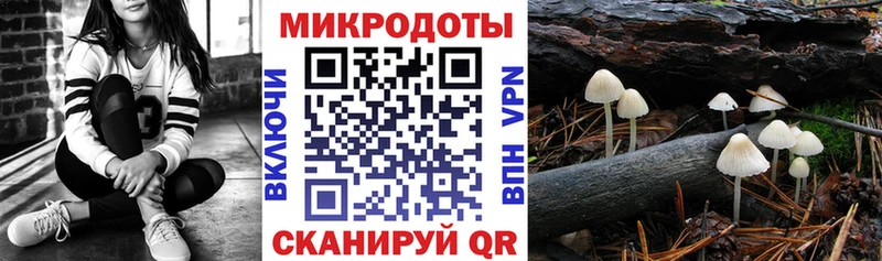 Псилоцибиновые грибы Psilocybine cubensis  нарко площадка телеграм  Анапа 