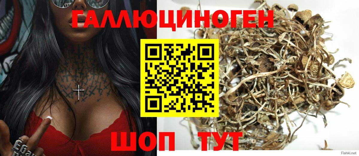 Псилоцибиновые грибы мухоморы  Псилоцибиновые грибы прущие грибы  Анапа  Вход с VPN 