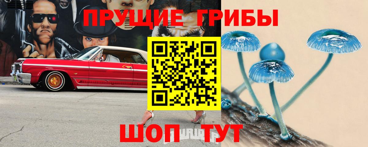 Псилоцибиновые грибы прущие грибы  Псилоцибиновые грибы ЛСД  Анапа 