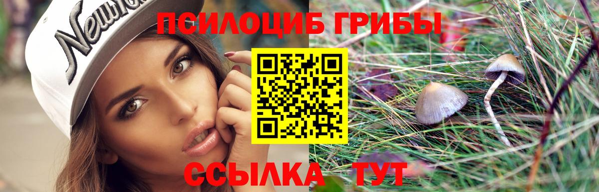 Галлюциногенные грибы GOLDEN TEACHER Анапа
