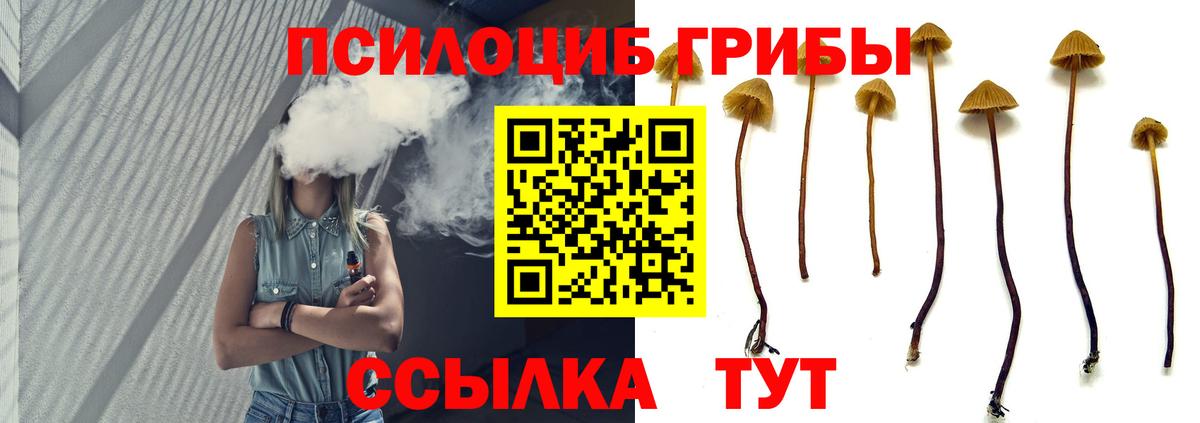 Псилоцибиновые грибы Psilocybe  Вход с VPN  Анапа  Галлюциногенные грибы Cubensis 